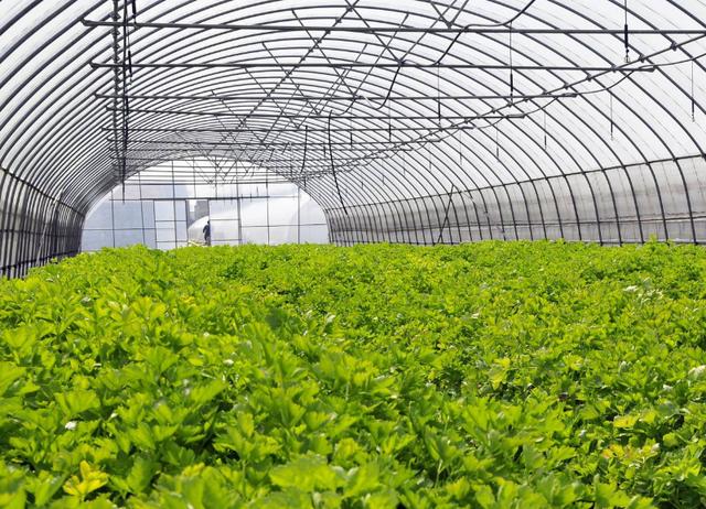 智慧農(nóng)業(yè)